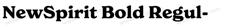NewSpirit Bold Regul字体转换